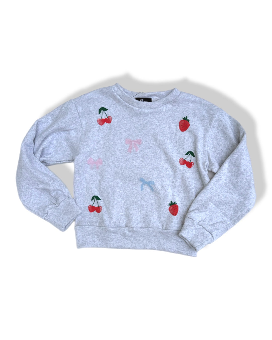 FBZ Sweatshirt (FLE92) - GREY/FRUIT & BOWS